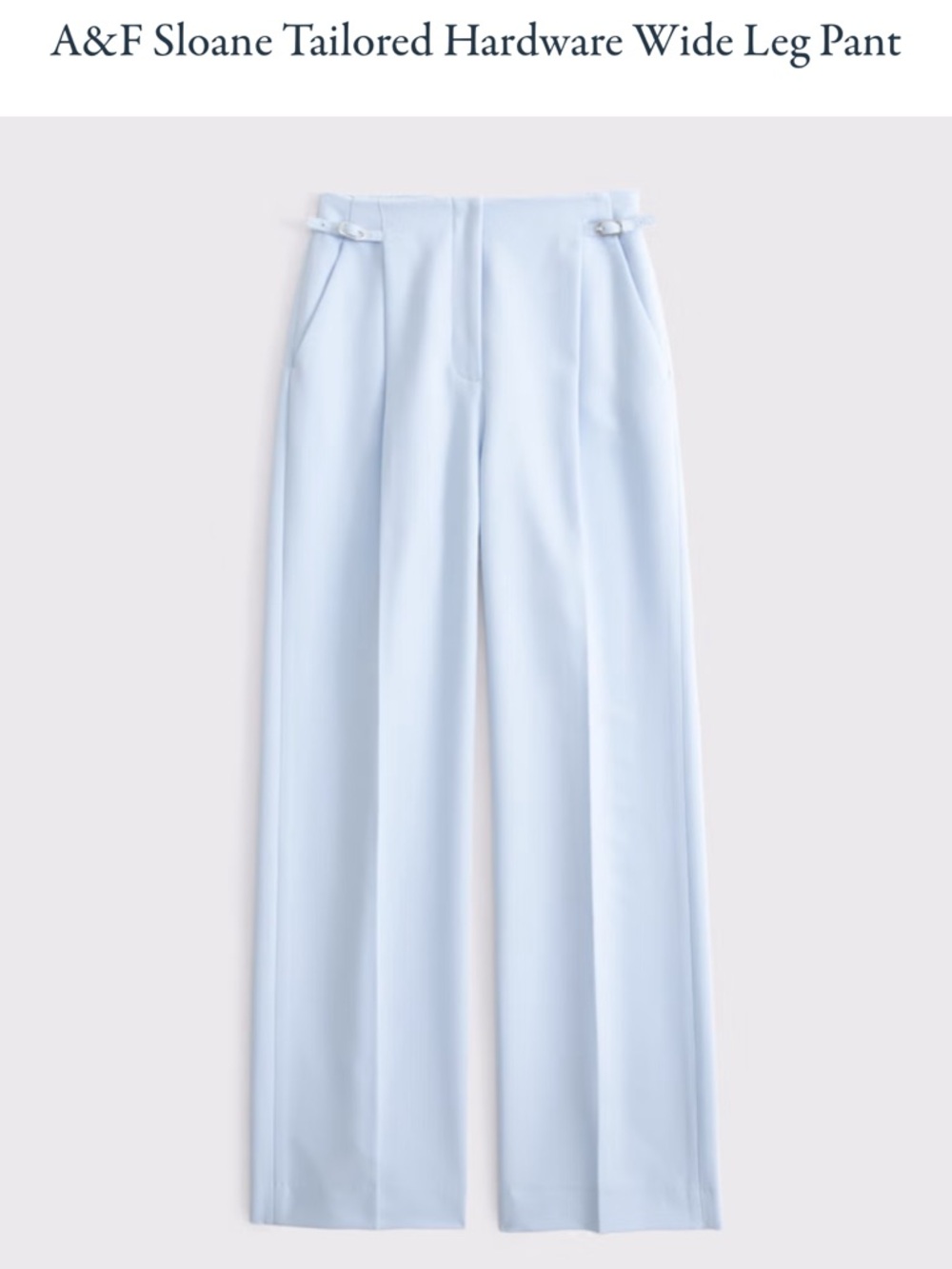 Abercrombie & Fitch Light Blue Wide Leg Tailored Pants